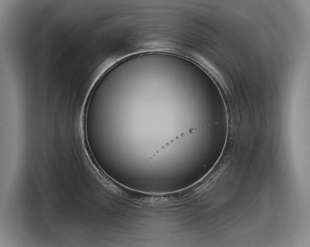 X0000116551291200912171341