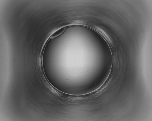 X0000116551292200912171341