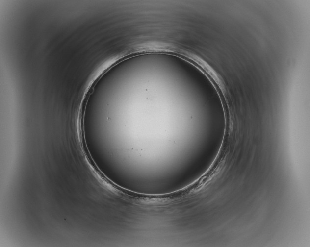 X0000116551293200912171341