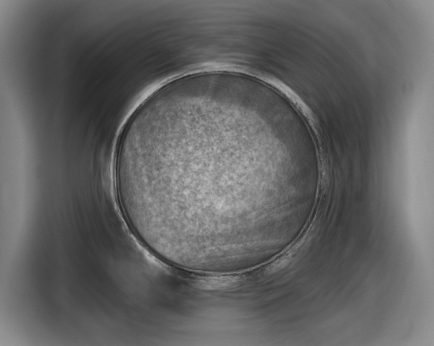 X0000116551294200912171341