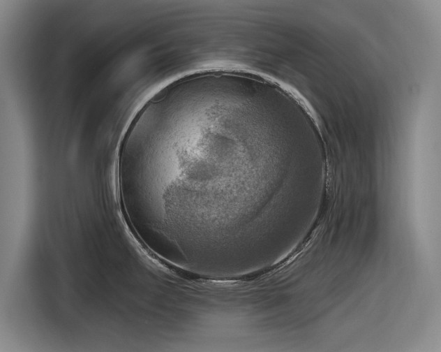 X0000116551295200912171341