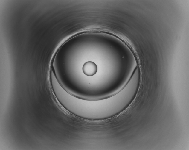 X0000116551296200912171341