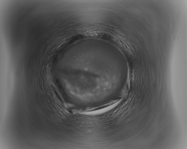 X0000116551297200912171341