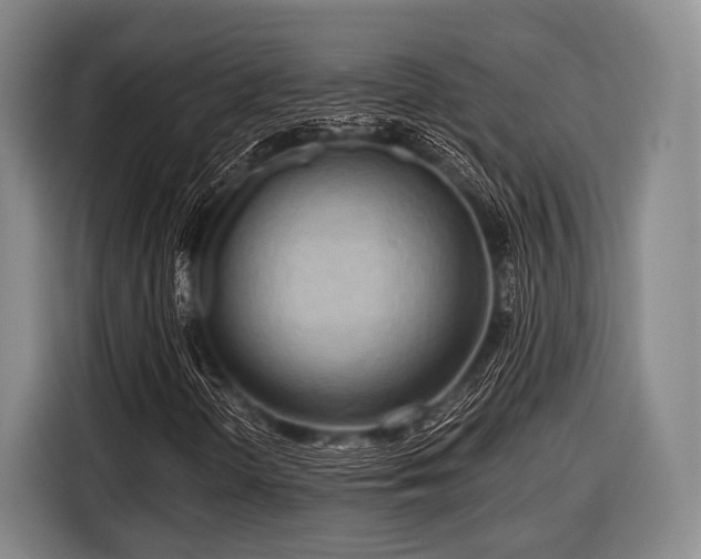 X0000116551298200912171341