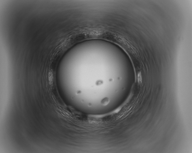 X0000116551299200912171341