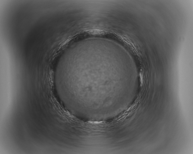 X0000116551301200912171341