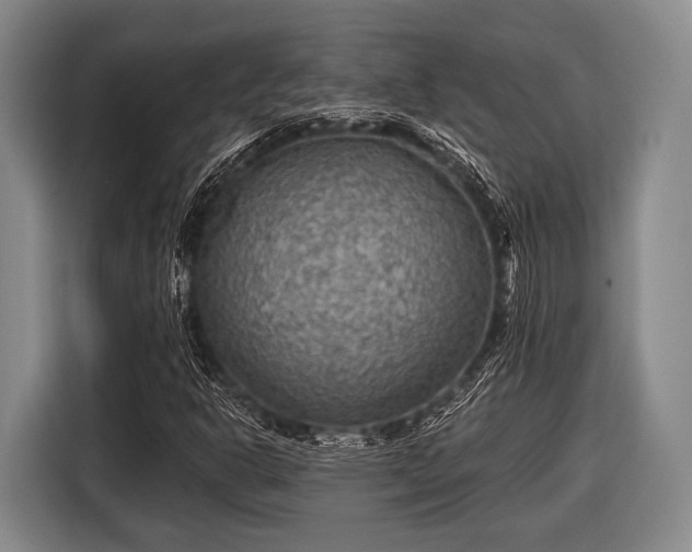 X0000116551302200912171341