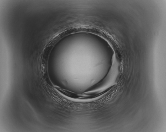 X0000116551303200912171341