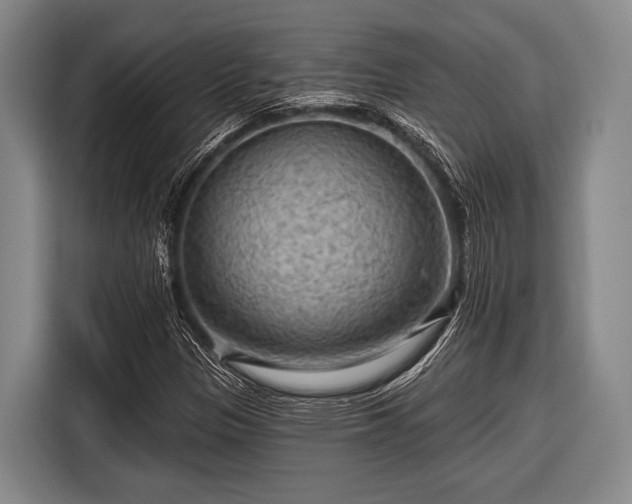 X0000116551305200912171341