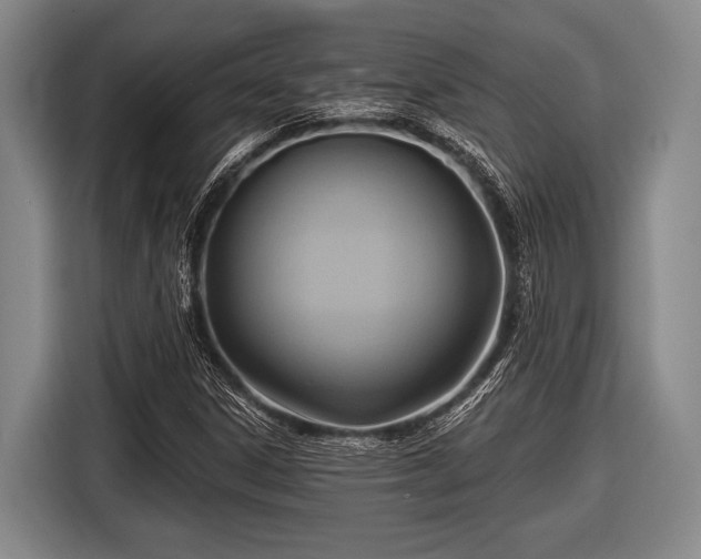 X0000116551306200912171341