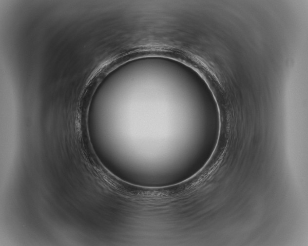 X0000116551307200912171341