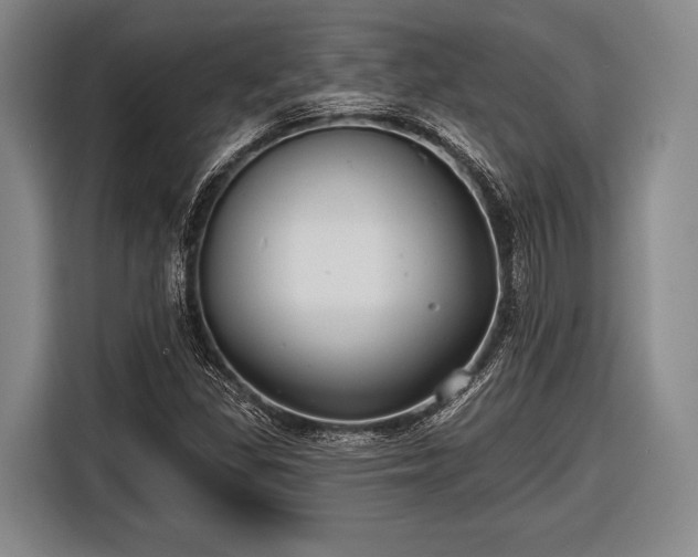 X0000116551309200912171341