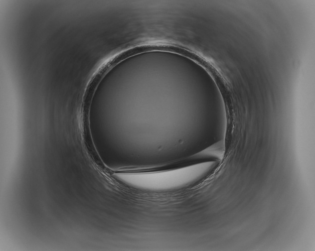 X0000116551319200912171341