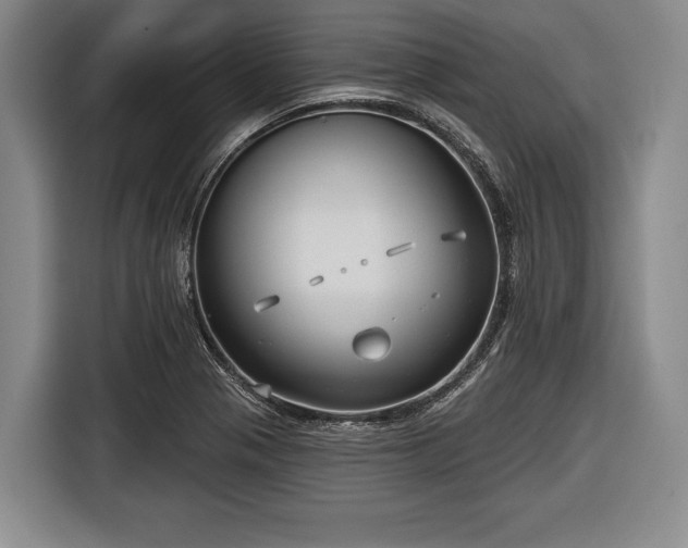 X0000116551321200912171341