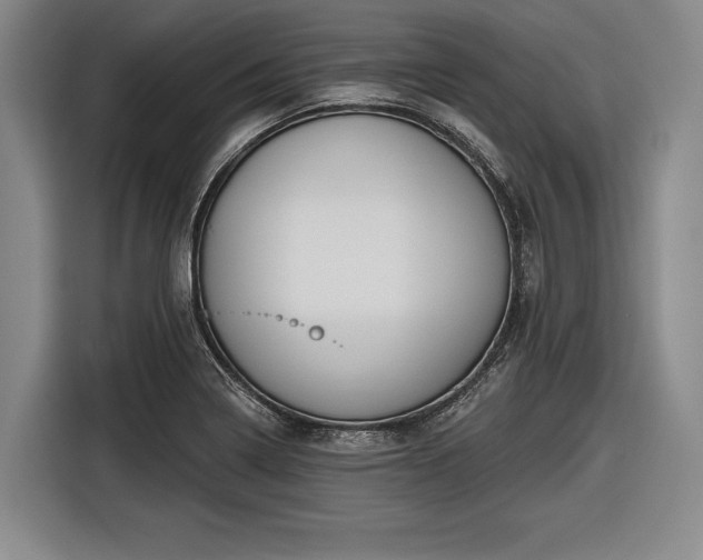 X0000116551322200912171341