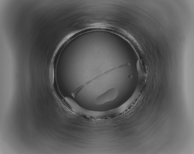 X0000116551323200912171341