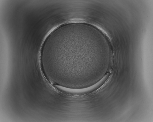 X0000116551325200912171341