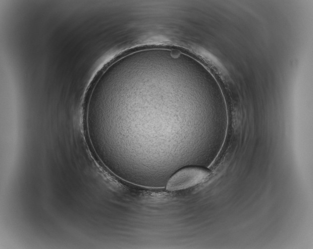 X0000116551326200912171341