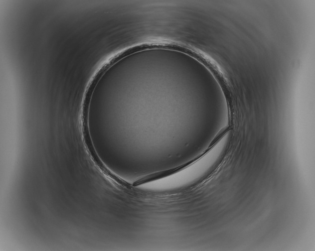 X0000116551327200912171341