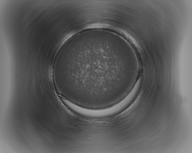 X0000116551329200912171341