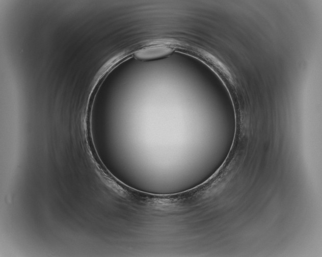 X0000116551330200912171341