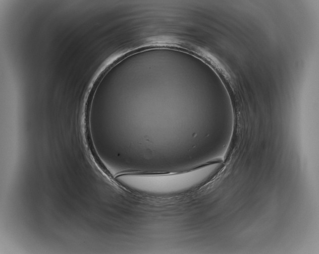 X0000116551331200912171341