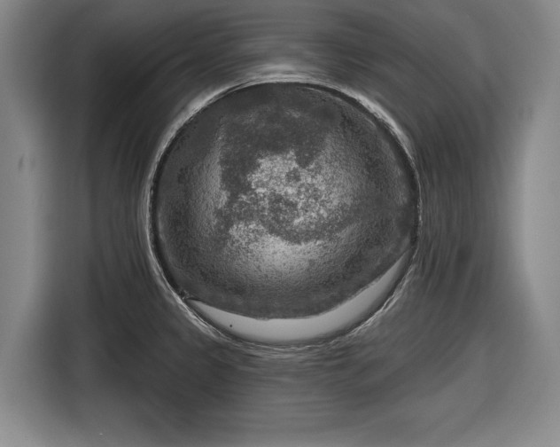 X0000116551333200912171341