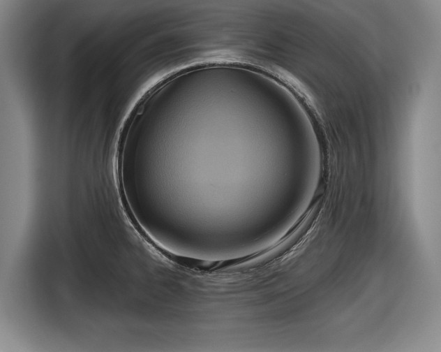 X0000116551334200912171341