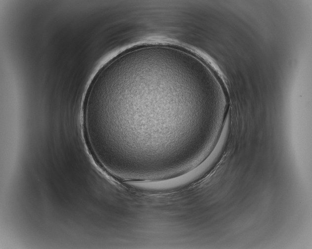 X0000116551335200912171341