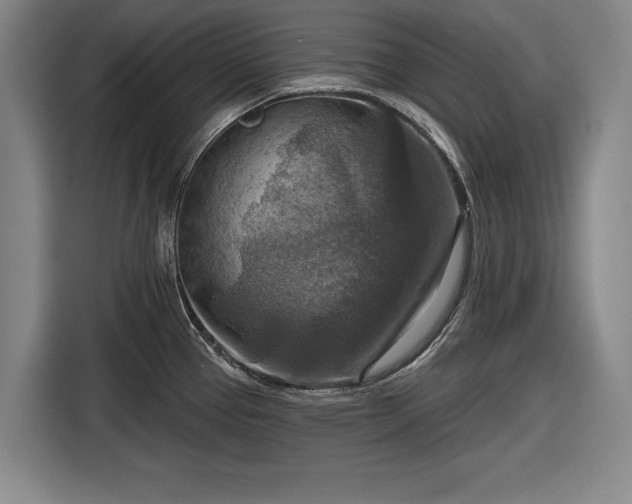 X0000116551337200912171341