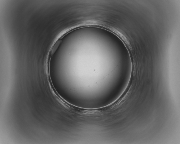 X0000116551342200912171341