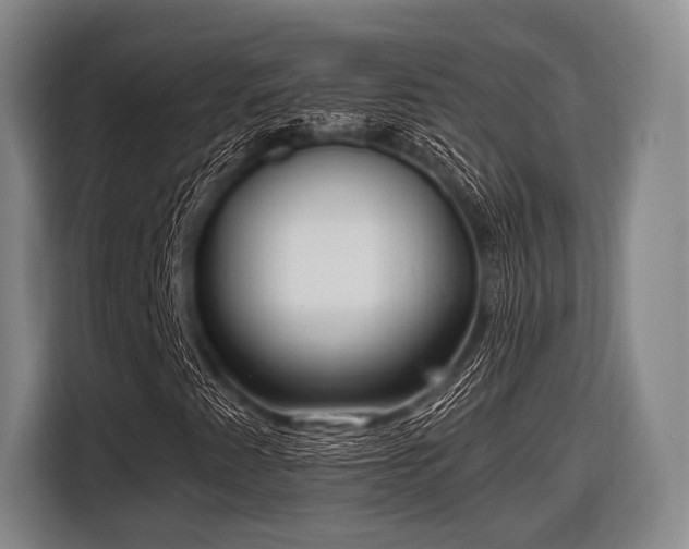 X0000116551345200912171341