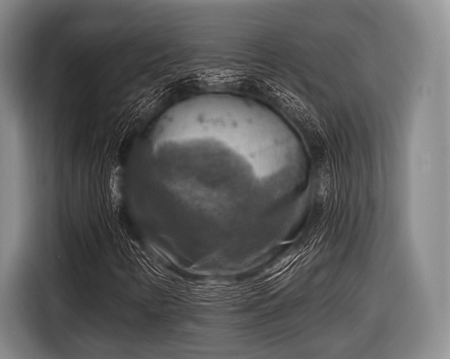 X0000116551346200912171341