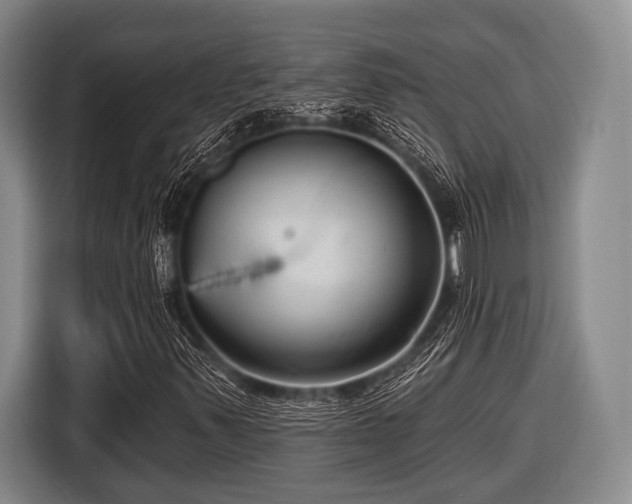 X0000116551347200912171341