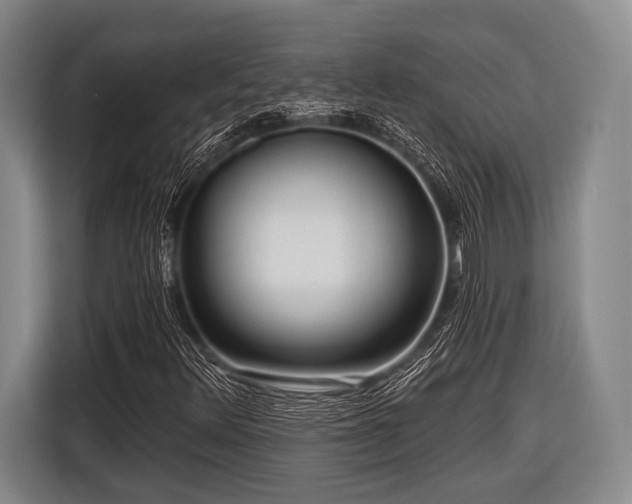 X0000116551348200912171341