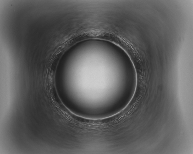 X0000116551349200912171341