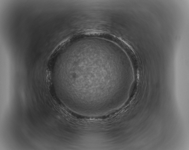 X0000116551351200912171341