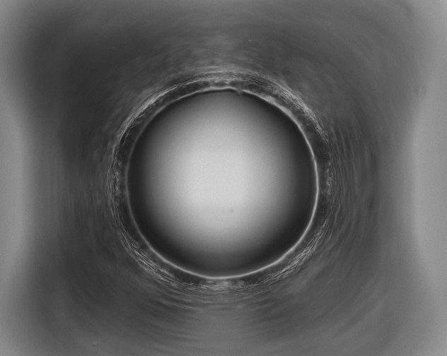 X0000116551352200912171341