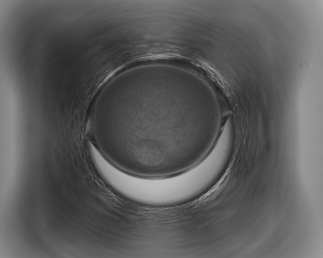 X0000116551353200912171341