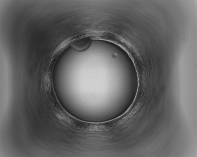 X0000116551354200912171341