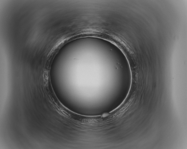 X0000116551355200912171341