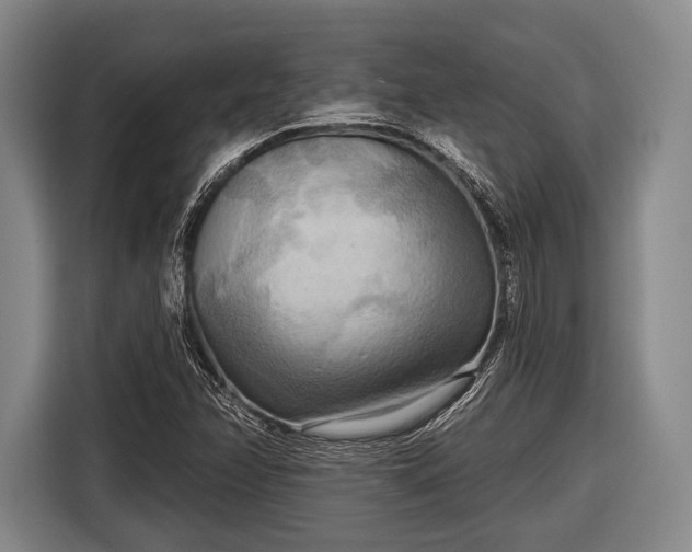 X0000116551358200912171341