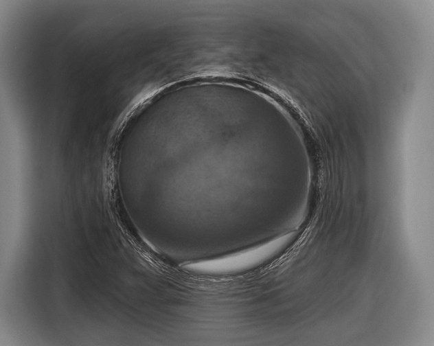 X0000116551359200912171341