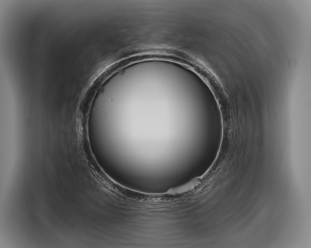 X0000116551360200912171340