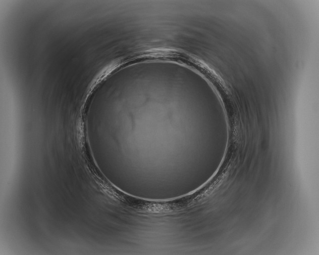 X0000116551362200912171340