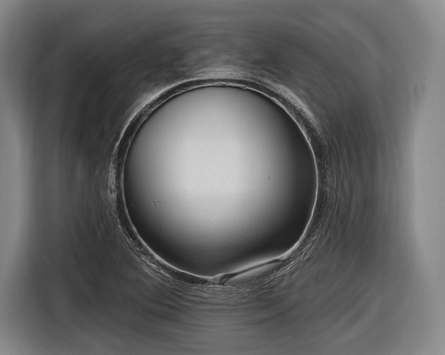 X0000116551364200912171340