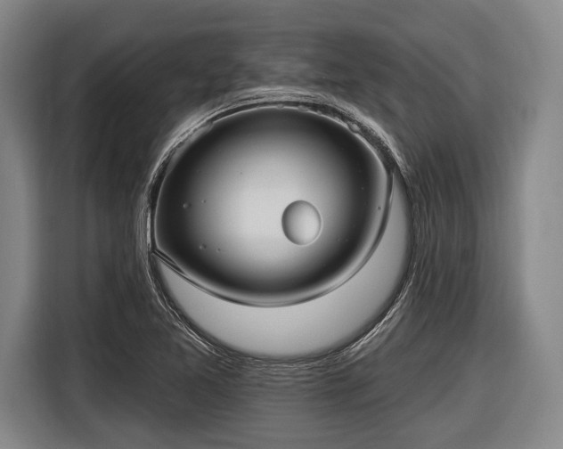 X0000116551365200912171340