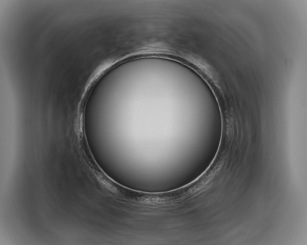 X0000116551366200912171340