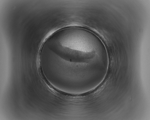 X0000116551367200912171340