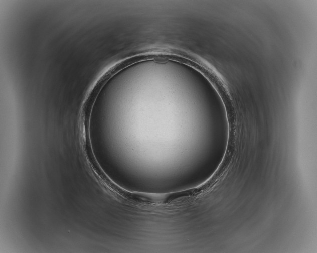 X0000116551368200912171340